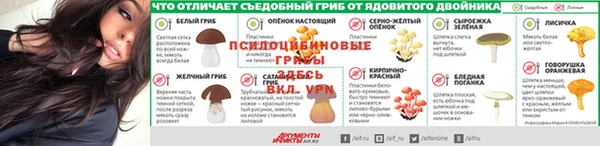 стафф Ладушкин