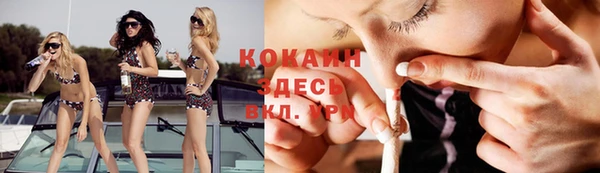 стафф Ладушкин