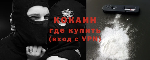стафф Ладушкин