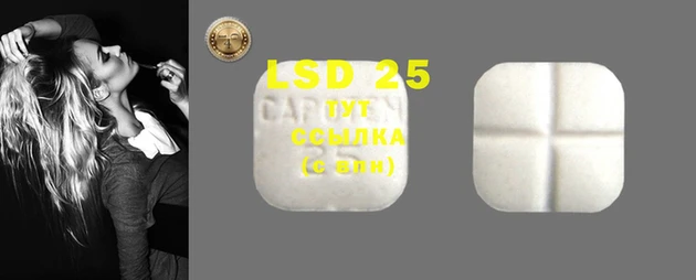 стафф Ладушкин