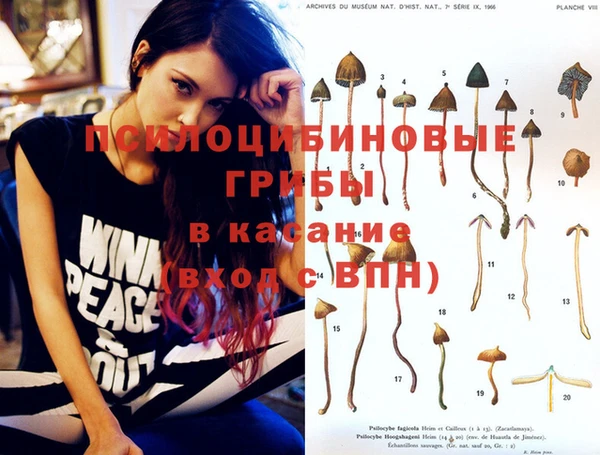 стафф Ладушкин
